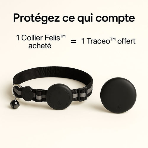 KALYMA Félis- Collier GPS Intelligent pour Chat