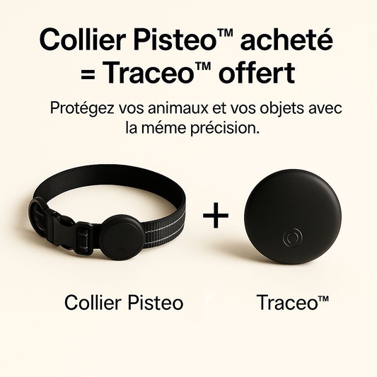 KALYMA Pisteo - Collier GPS Intelligent pour Chien