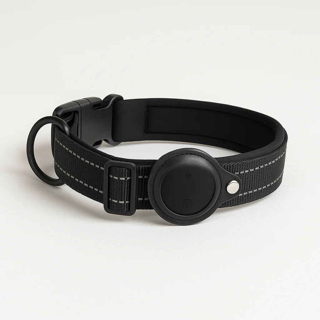 KALYMA Pisteo - Collier GPS Intelligent pour Chien