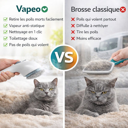 Vapeo - Brosse vapeur Anti-poils