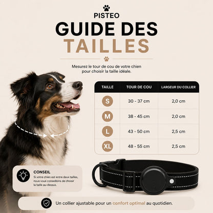 Pisteo - Collier Intelligent pour Chien