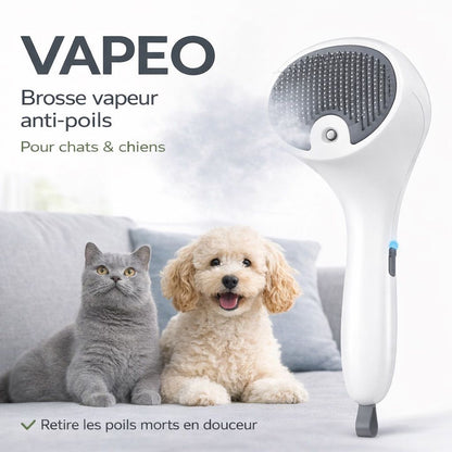 Vapeo - Brosse vapeur Anti-poils