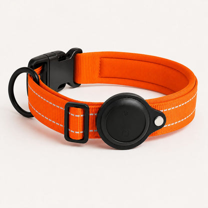 Pisteo - Collier Intelligent pour Chien