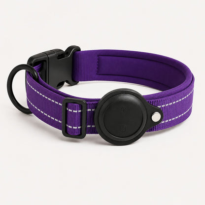 Pisteo - Collier Intelligent pour Chien