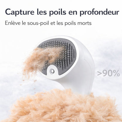Vapeo - Brosse vapeur Anti-poils