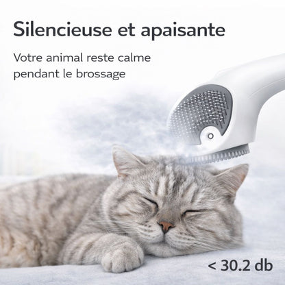 Vapeo - Brosse vapeur Anti-poils