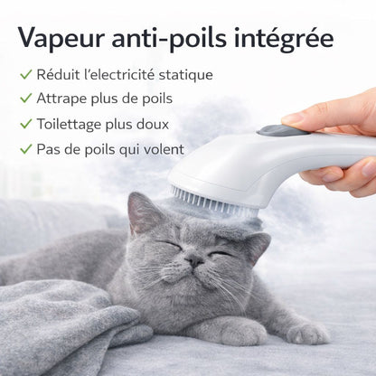 Vapeo - Brosse vapeur Anti-poils